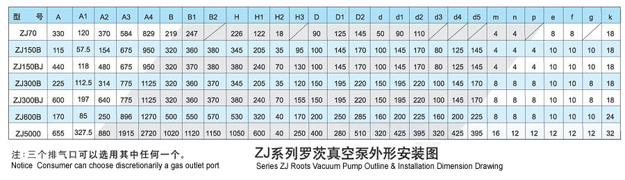 ZJ系列羅茨真空泵外型及連接圖